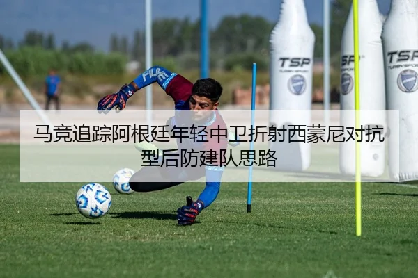 img_1783253449396_461_1_618.jpg